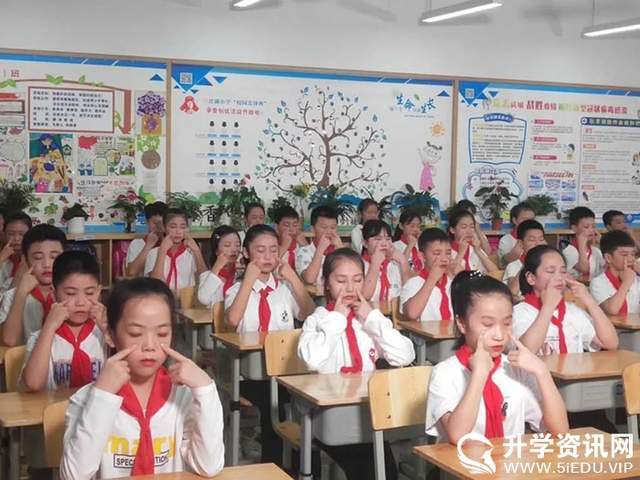 呵护视力新伙伴，2020最新小学生眼保健音乐发布